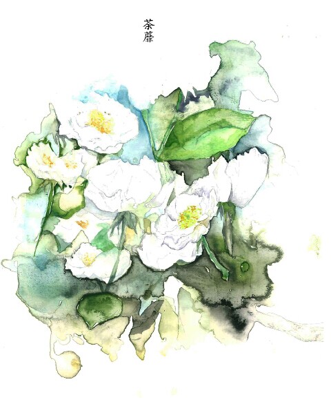 植物手绘插画荼蘼赞评论11更多所有评论你也来说些什么吧