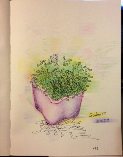 人生的每一个清晨，都该努力，不能拖延。