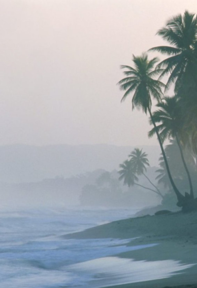 SA家 壁纸 素材 海岸 雾