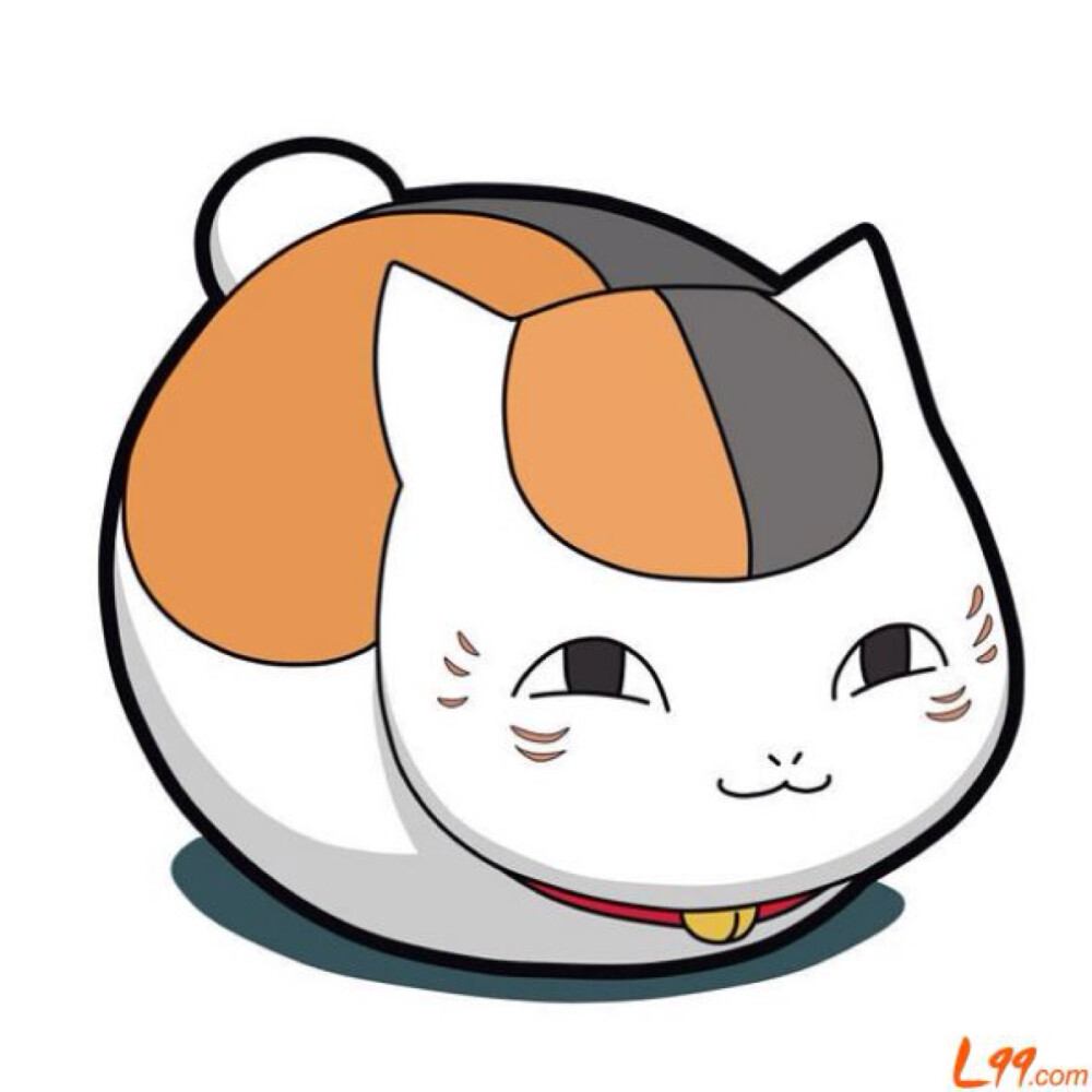 喵喵老师