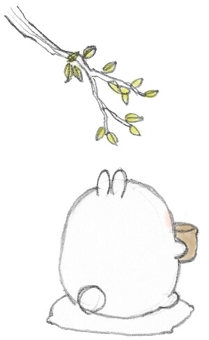 萌物 可爱 动物 兔子 卡通 简单小画 花茶