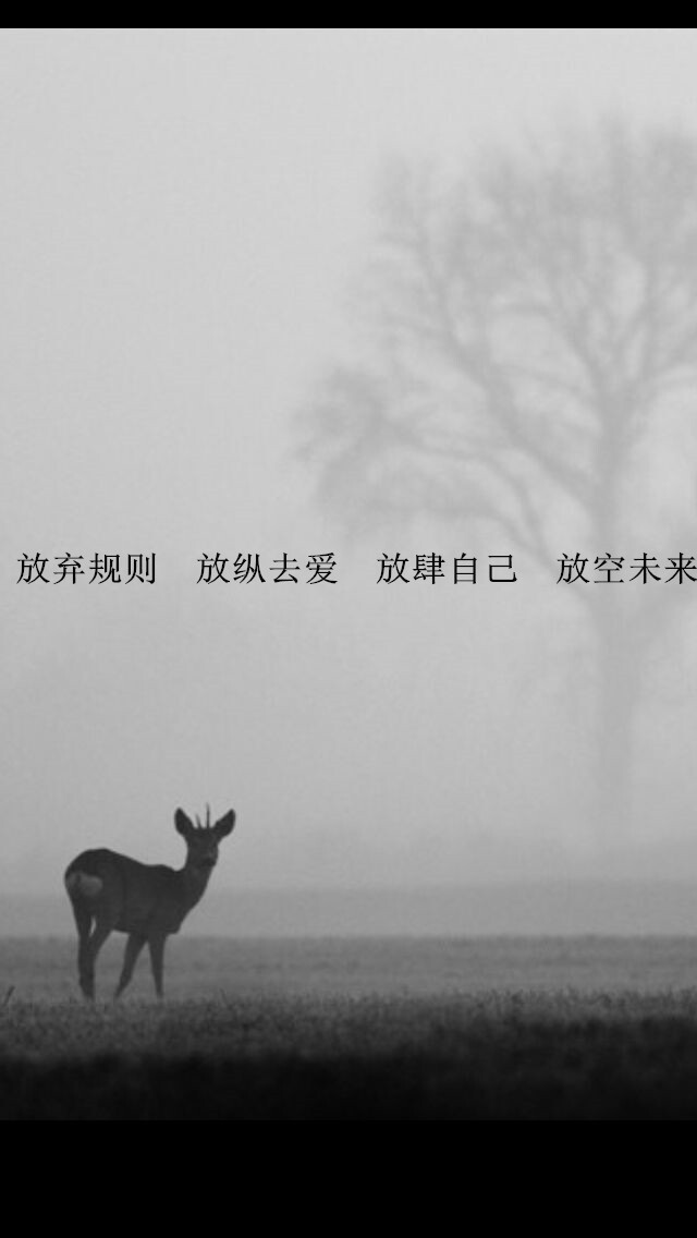 盛夏光年 五月天