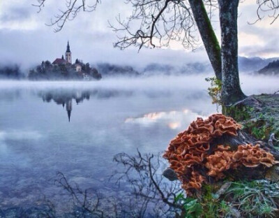 【未必】斯洛文尼亚的梦之岛，欧洲最美丽的角落之一，好安静。