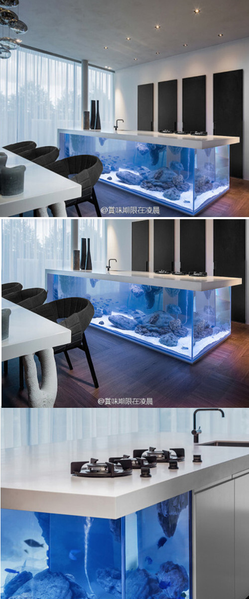 【厨房设计】荷兰著名设计师 Robert Kolenik 的作品-----Ocean Kitchen, 将厨房料理台做成了大型水族箱，有这个梦幻的小小海底世界，懒汉们会不会乐意下厨房了呢。