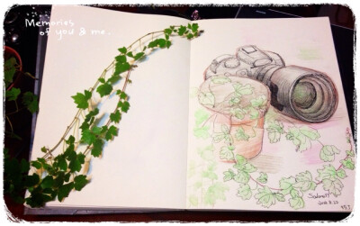 以爱为名，花花草草小生活～