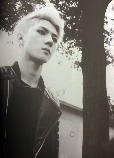 EXO 吴世勋 Sehun DIE JUNGS写真高扫