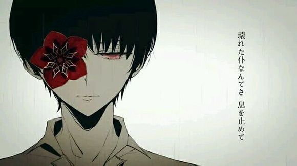 来自贴吧 金木研 东京食尸鬼 喰种