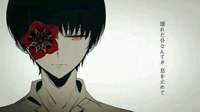 来自贴吧 金木研 东京食尸鬼 喰种