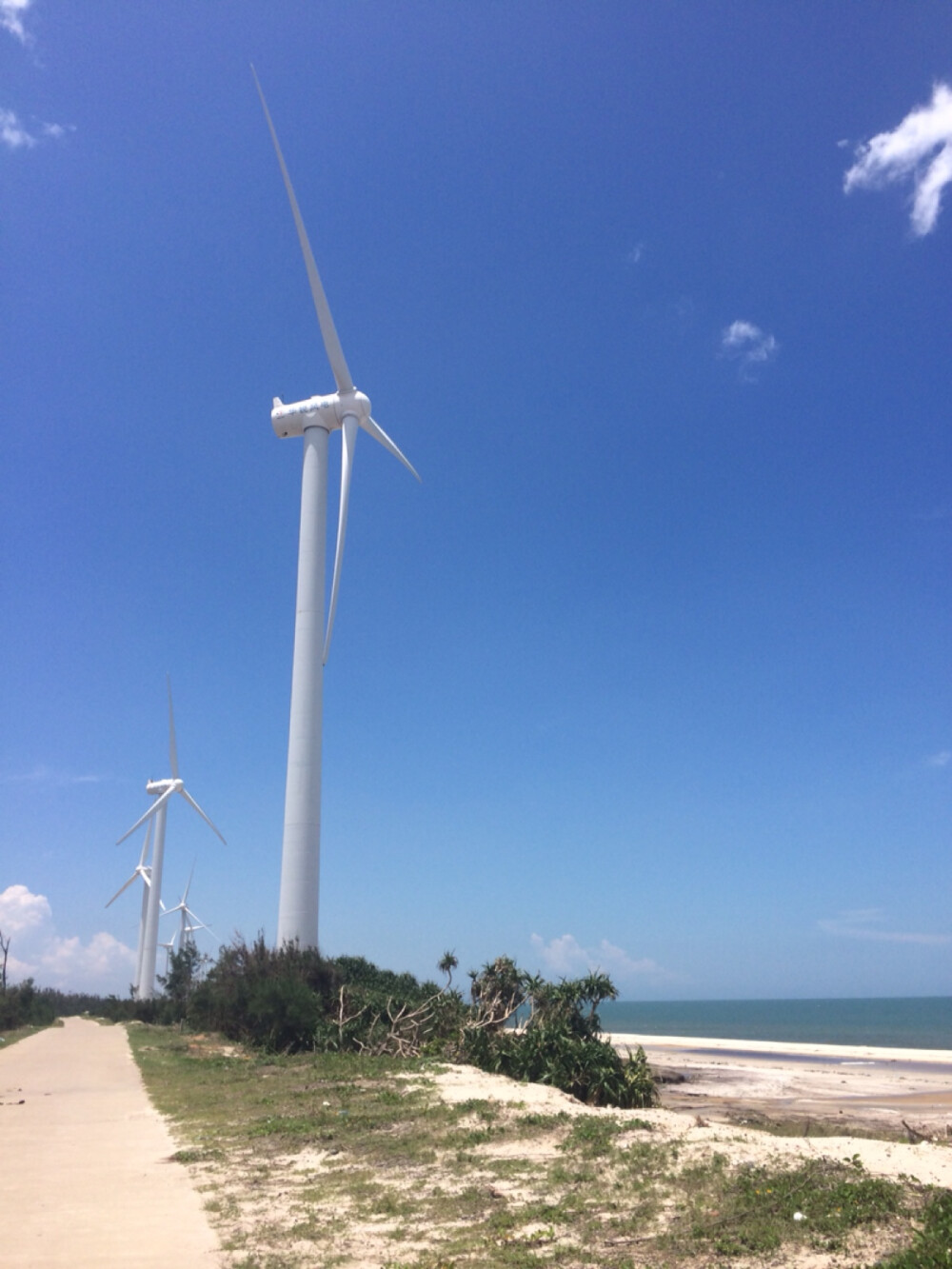 海边的大风车