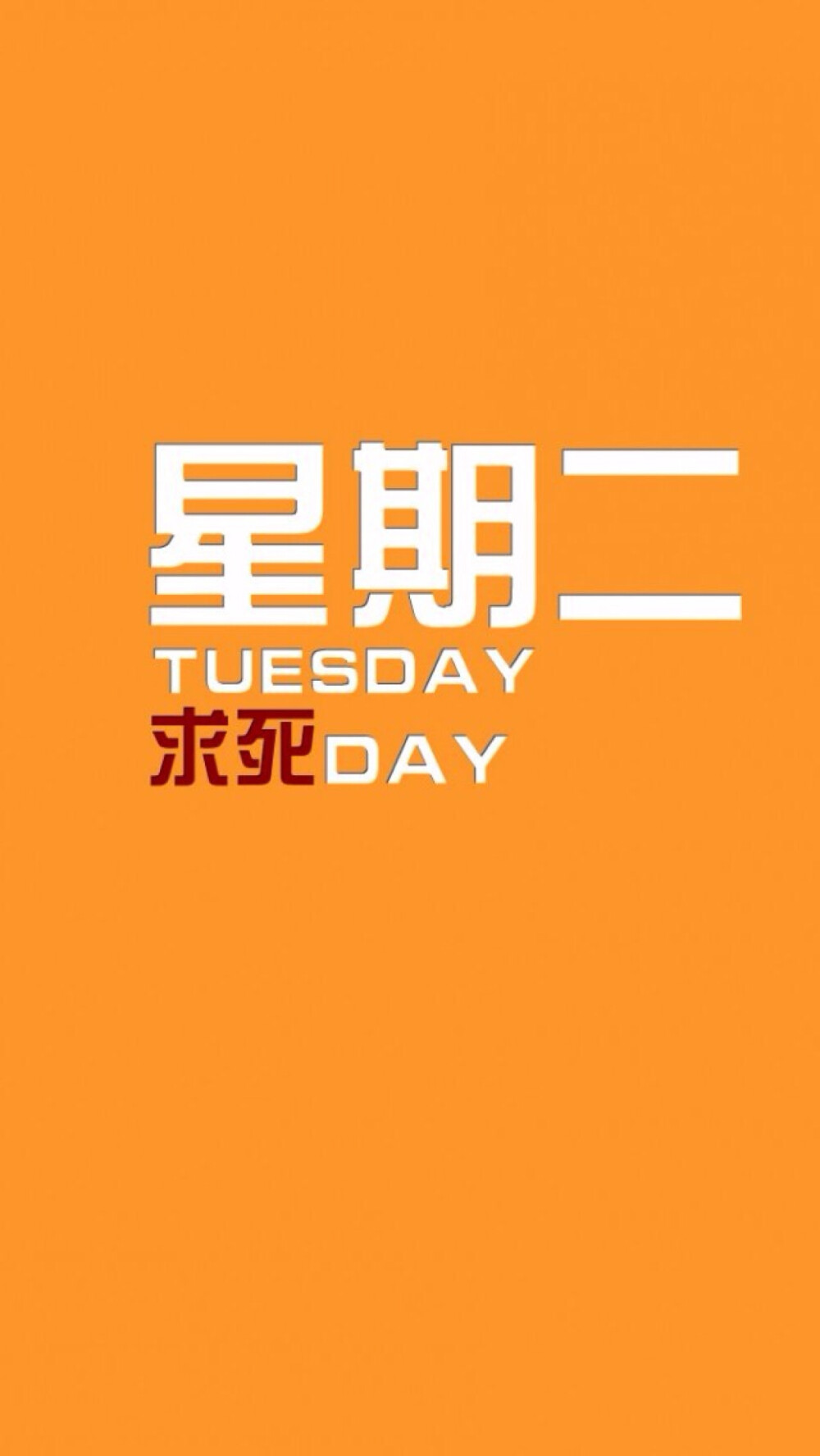 文字壁纸星期二