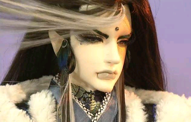 黑罪孔雀弁袭君