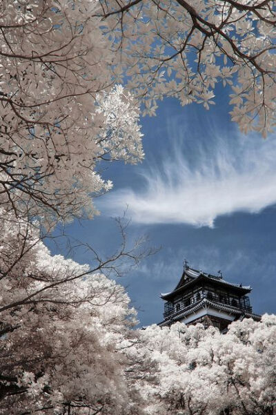 Hiroshima Castle, Japan。日本广岛城是位于日本广岛县广岛市的城堡，别称鲤城。是日本国家指定历史遗迹。1589年西国大名毛利辉元于交通要点太田村三角州（当时名为五个村）进行筑城。增筑的方式参考大坂城，丰臣派…