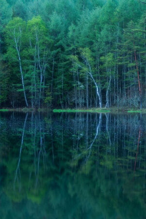 Mishakaike Pond, Nagano, Japan。日本茅野市, 长野县。