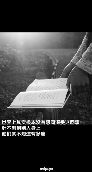 原创手机壁纸，iPhone壁纸锁屏（文字，风景，欧美，插画，萌物，平铺，植物，清新）//我的盖世英雄
