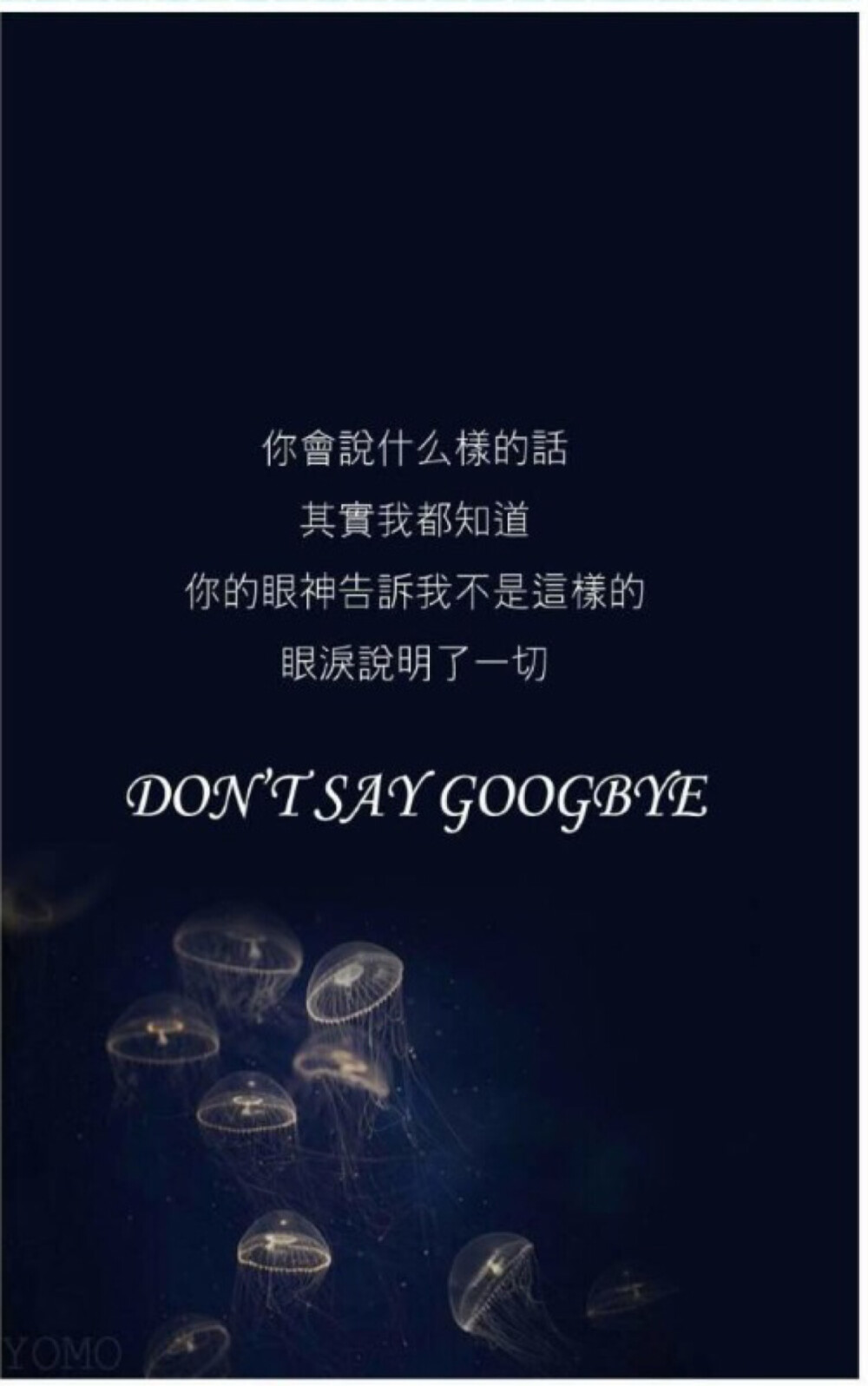 东方神起 最美情书 dont say goodbye