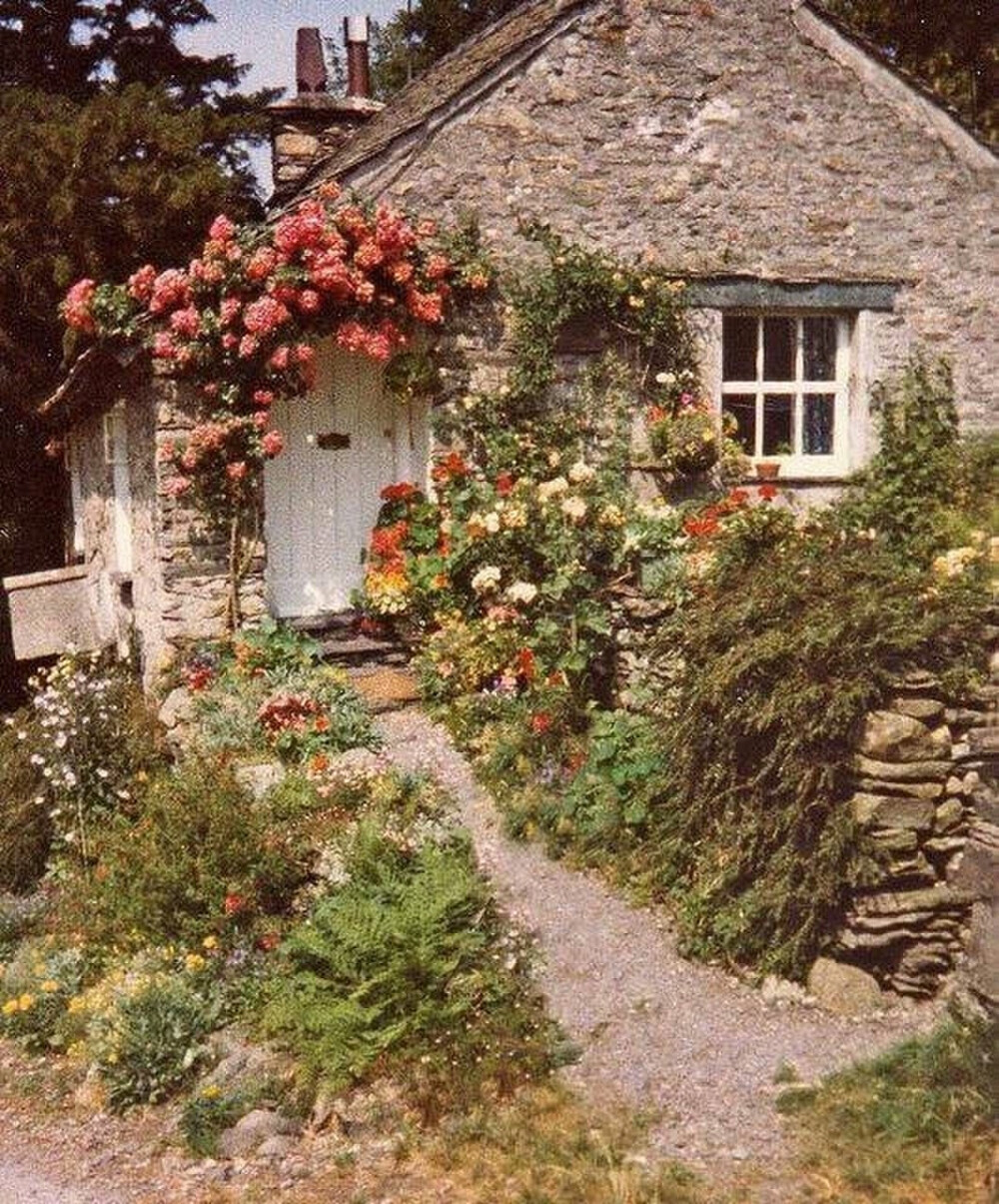 森系小清新风景