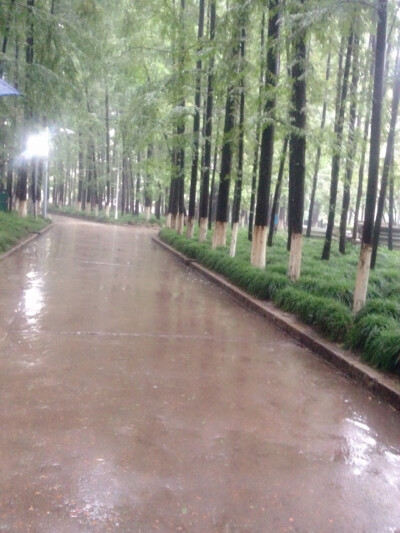 我来到你的城市，走你走过的路，看你看过的风景。