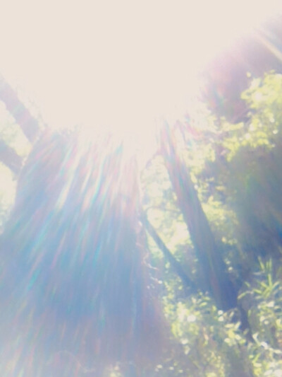 我来到你的城市，走你走过的路，看你看过的风景。