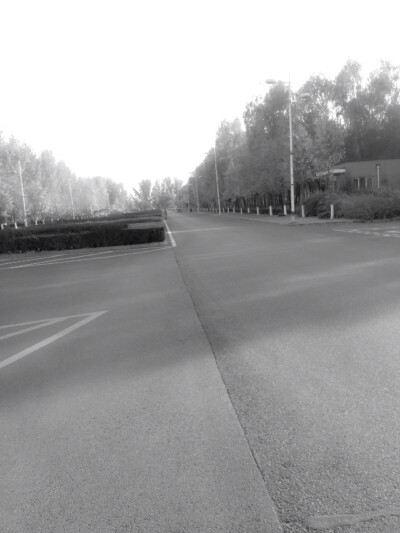 我来到你的城市，走你走过的路，看你看过的风景。