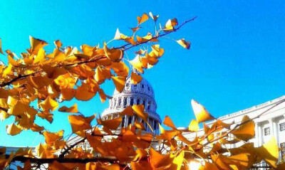 我来到你的城市，走你走过的路，看你看过的风景。