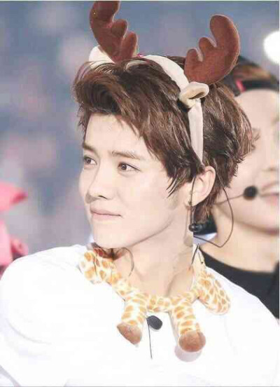 LUHAN 鹿晗 鹿角x2(●°u°●)​ 」