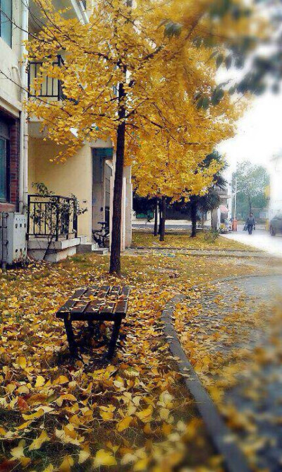 我来到你的城市，走你走过的路，看你看过的风景。