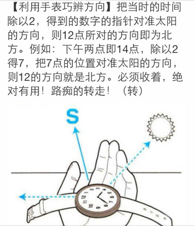 野外手表辨别方向