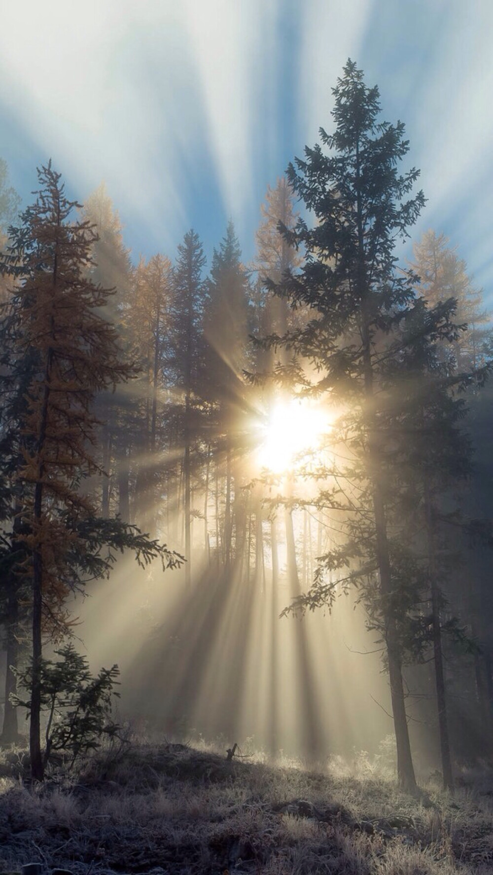 iphone 5 5s 壁纸 唯美        kylinzhang