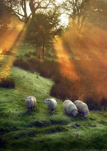 Cumbria, England。 英国英格兰的坎布里亚郡，位于英格兰西北端，西、北、南三面濒临爱尔兰海，除北部有开阔的平原外，大部分地区为崎岖的坎布里亚山地、边沿谷地和湖区。英格兰所有大湖均在此。