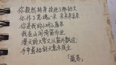 手写 越苏 小苹果