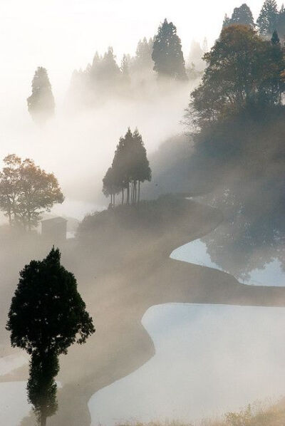 Terraced rice fields in Matsudai, Niigata, Japan。日本长野县埴科郡松代町的水稻梯田。