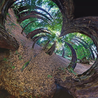 360度全景摄影拍震撼超现实世界 by Randy Scott Slavin