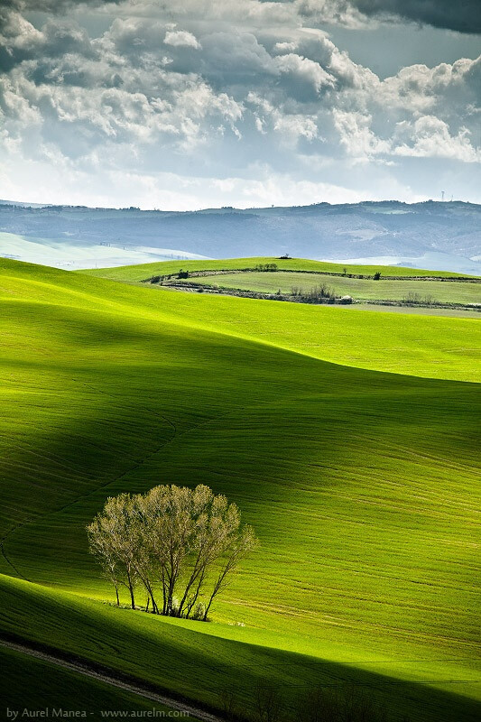 Tuscany, Italy。托斯卡纳在意大利中部的西海岸上，一直被视为文艺复兴的发源地和意大利最美的洲。苍翠的山谷、绵延的山脉、秀丽的葡萄园、摇曳的橄榄树……这明丽的风景牵动了包括达芬奇与拉斐尔等众多画家的笔。