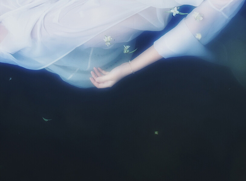 | 消 夏 令 | 夏木可人事事幽 梦觉心静自在凉 （For 安安） - 2013.06 -扣桑