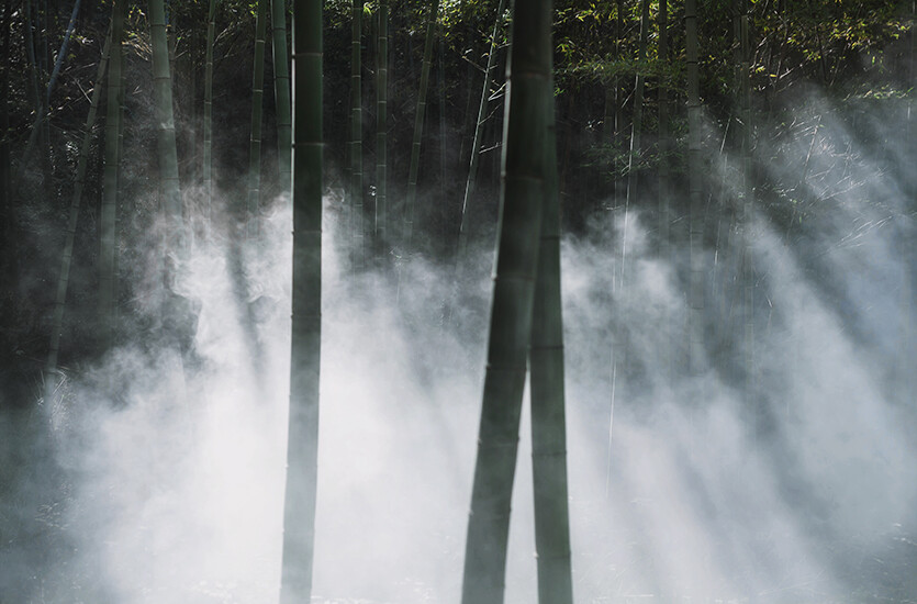  | 青 雲 詩 | 一節一枝一梢一葉 一心一人一夢一生 （For 小綠） - 2013.10 -扣桑