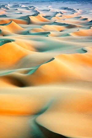 Dunes at Sunrise in Sahara, Egypt。埃及撒哈拉沙漠上的日出。