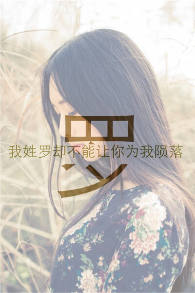 我姓罗却不能让你为我陨落