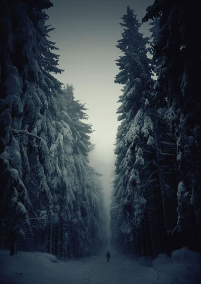 Winter Forest Path, Czech Republic。冬日里捷克共和国内的森林小径。令人震撼的美。