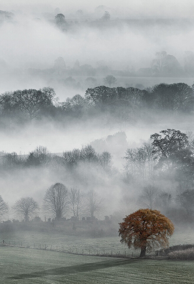 Vale of Pewsey, Wiltshire,England。晨起雾中的英格兰威尔特郡皮尤西河谷。