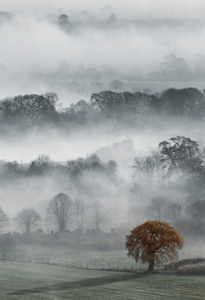 Vale of Pewsey, Wiltshire,England。晨起雾中的英格兰威尔特郡皮尤西河谷。