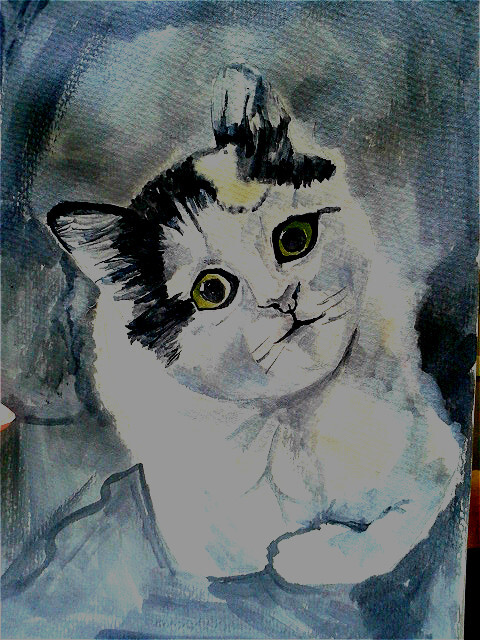 猫咪呀，虽然没有还原你原本的可爱，但是我有怀着一颗爱你的心在描绘你。有你的陪伴，在没有家人的日子里，真的很开心。