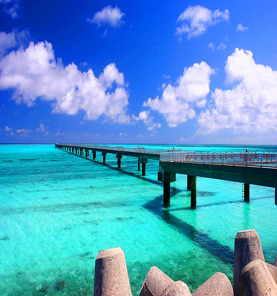 刚是一种威仪,一种自信,一种气概;柔是一种风度,一种魅力,一种姿态.