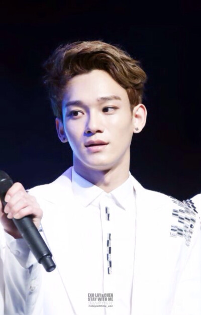 EXO 金钟大 chen