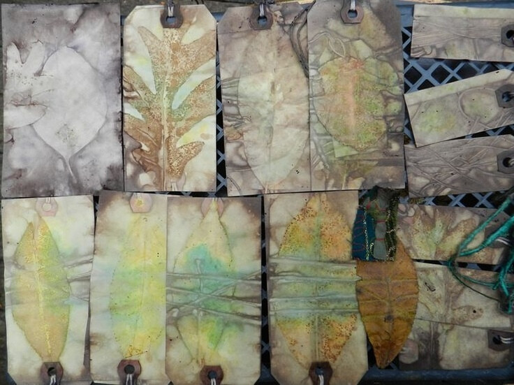 Elizabeth Bunsen mixed media tags - elm, birch, oak, maple #art #nature