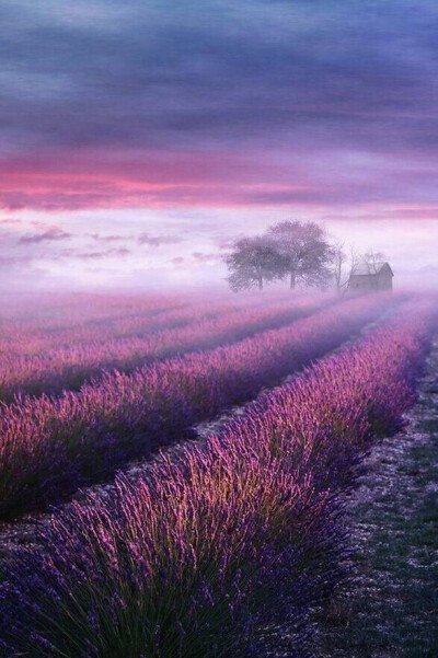 紫色的浪漫，和安静的小村，都在普罗旺斯。