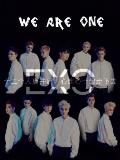 自制 EXO we are one 12