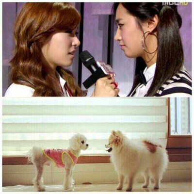 Tiffany Yuri yulti