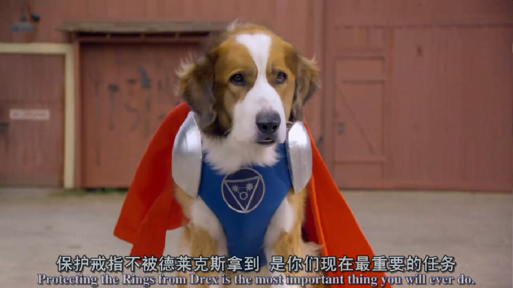 超级伙伴 超级有爱