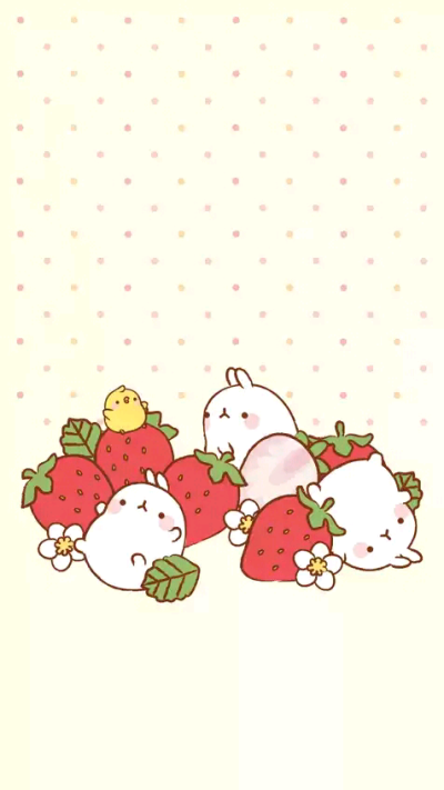 韩国 molang