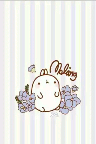 韩国 molang